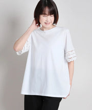 アイボリーの代表画像