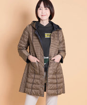 ブラウンの代表画像