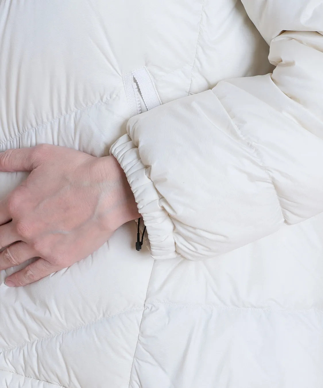 サーフェスライトDOWN C'EST LA VIE (セラビ)