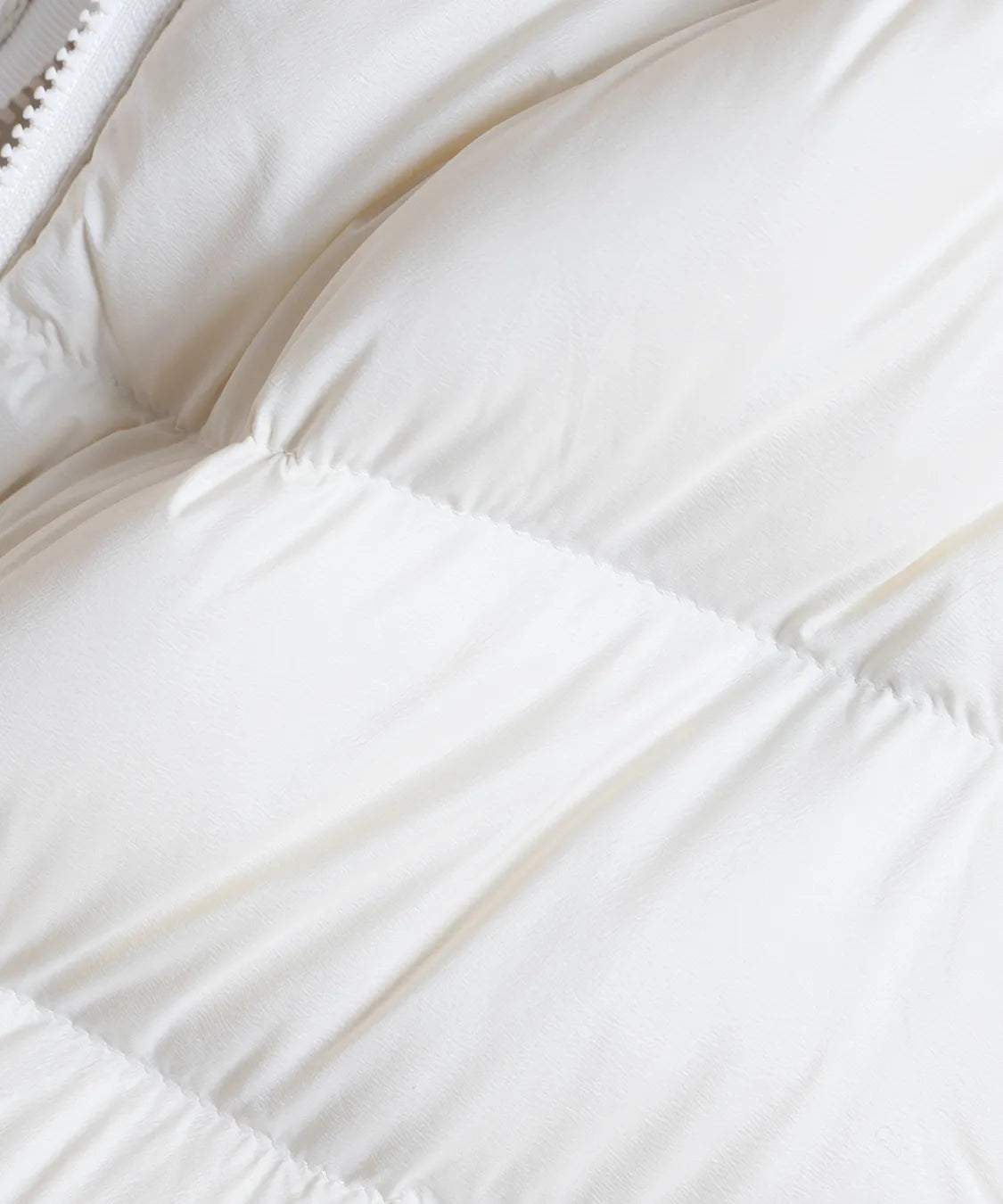 サーフェスライトDOWN C'EST LA VIE (セラビ)